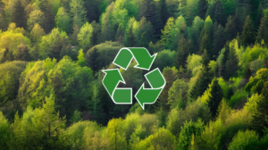 Image forêt pour stand écologique InPulsion
